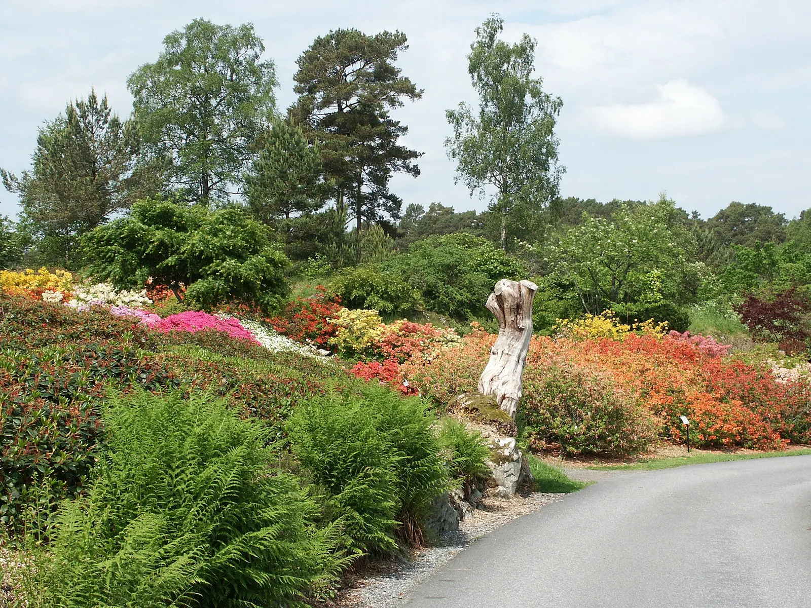 Arboretet på Milde