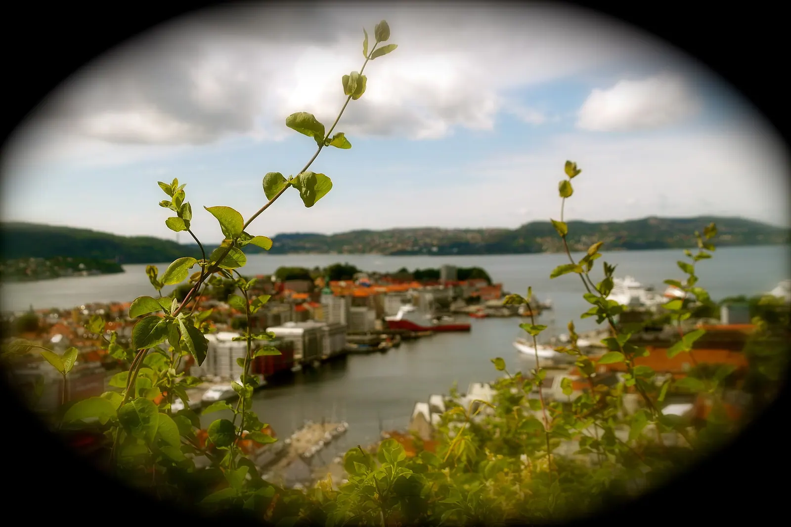 Vågen (Beffen-fergen trafikkerer Vågen)