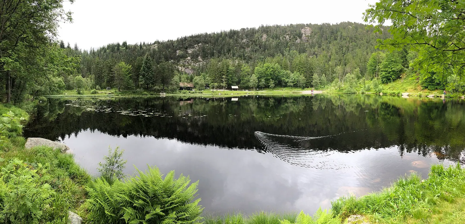 Fløyen rundt Skomakerdiket