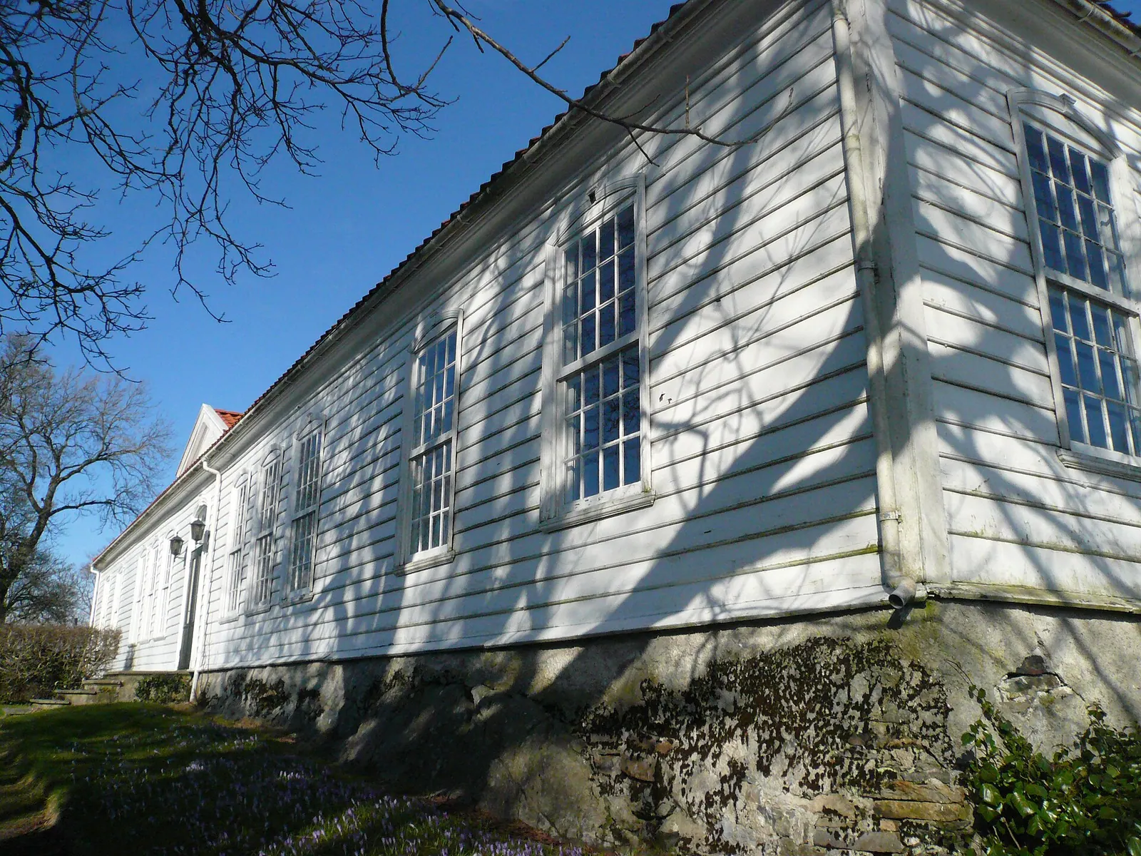 Grønevika (Arboretet på Milde)