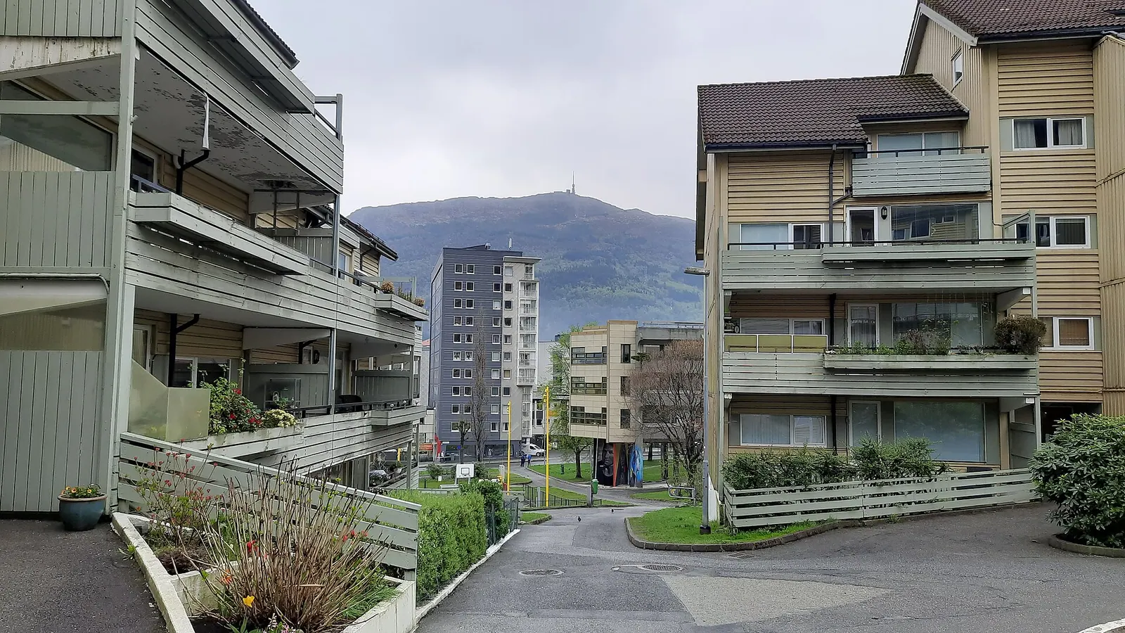 Moxy Bergen