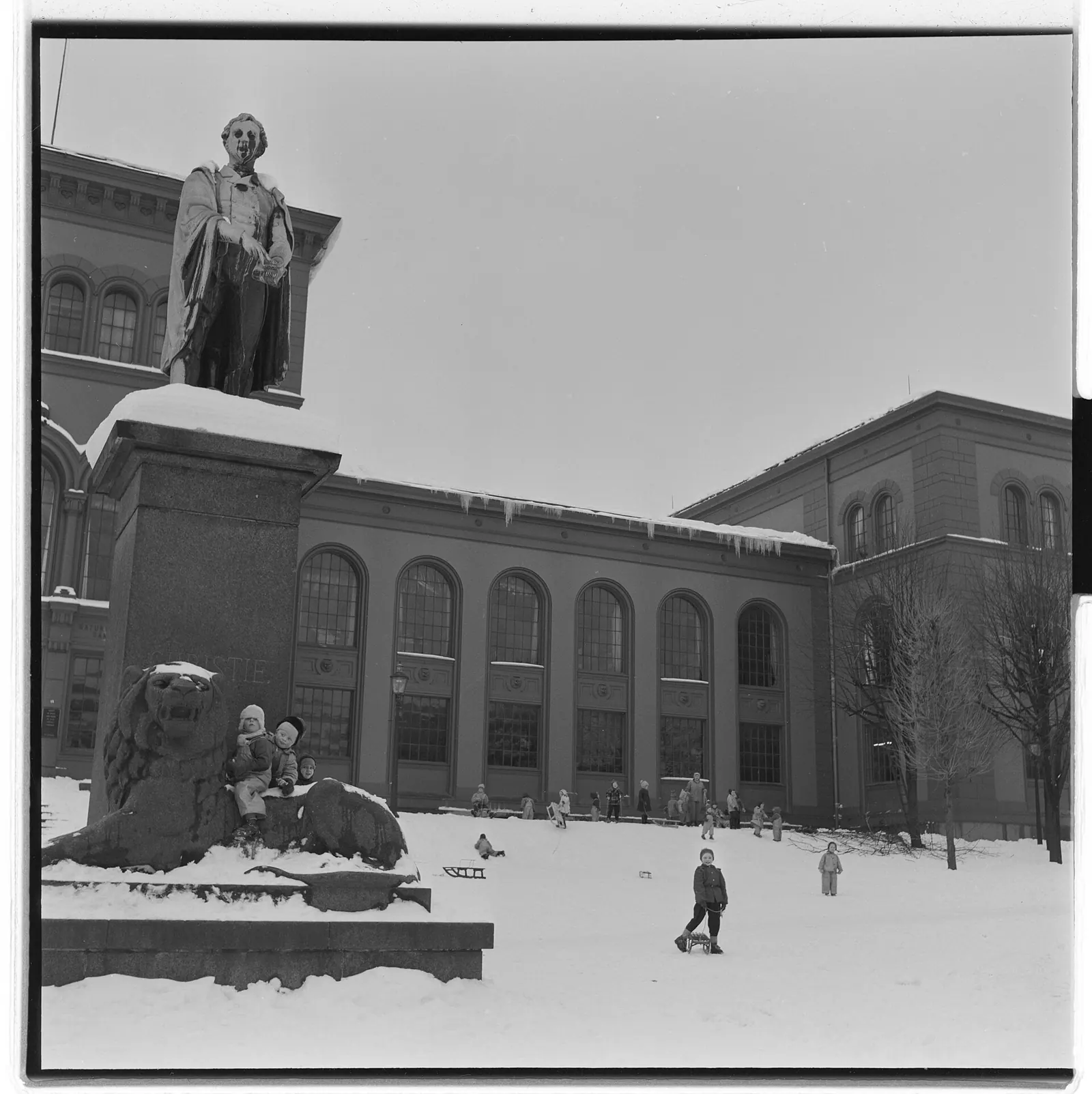 Universitetsmuseet
