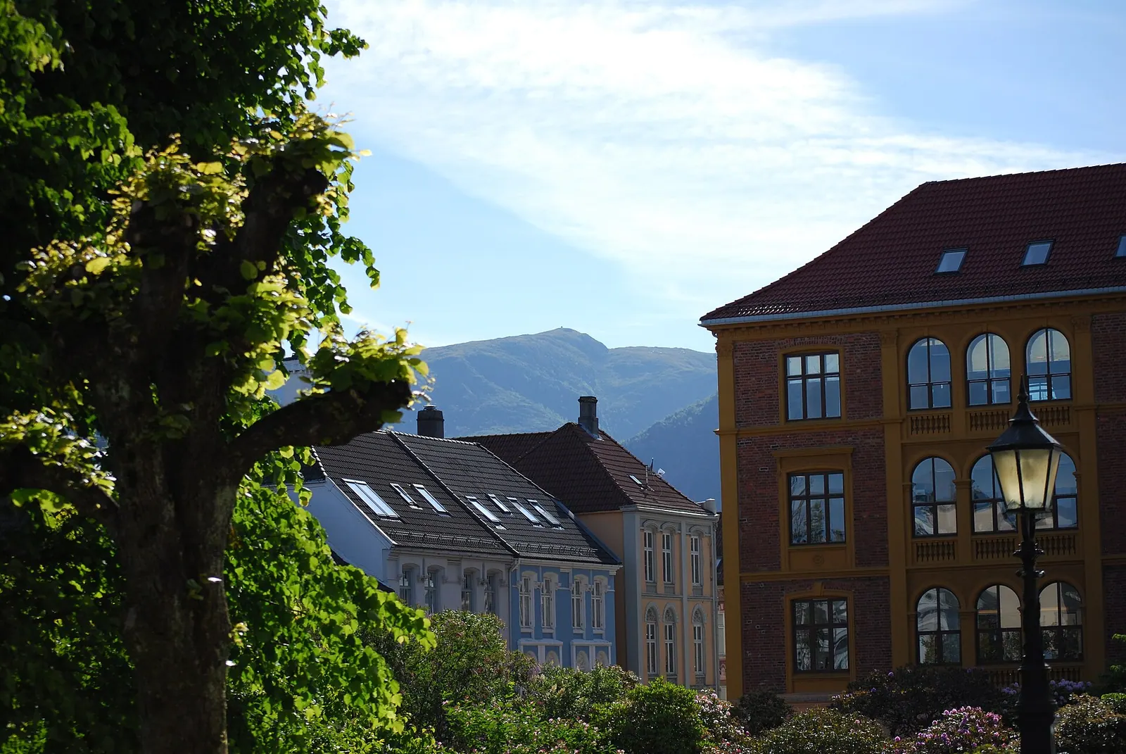 Vidden (Ulriken til Fløyen)